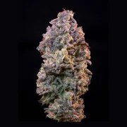 ICE – product view 3