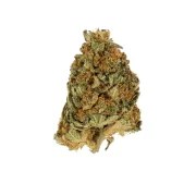 Northern Light – product view 3
