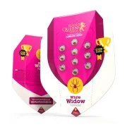 White Widow – product view 2
