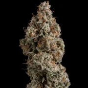 White Widow – product view 7
