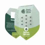 Northern Light Auto – product view 2