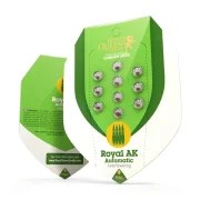 Royal AK Auto – product view 2