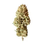 Royal AK Auto – product view 4