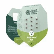 Royal Dwarf – product view 2