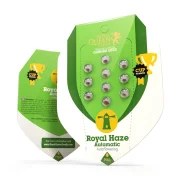 Royal Haze Auto – product view 2