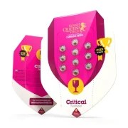 Critical – product view 2