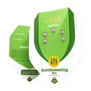Autoflowering Mix – product view 2