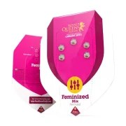 Feminized Mix – product view 2