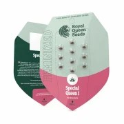 Special Queen 1 – product view 2