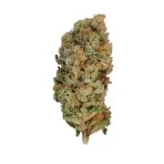 Special Queen 1 – product view 3