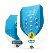 Dance World – product view 2