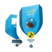 Dance World – product view 3