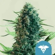 Royal Medic – product view 1