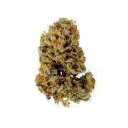 White Widow Auto – product view 4