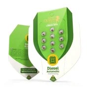 Diesel Auto – product view 2