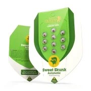 Sweet Skunk Auto – product view 2
