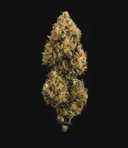 Sweet Skunk Auto – product view 9