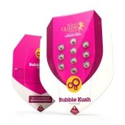 Bubble Kush – product view 2