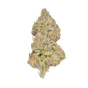 Pineapple Kush – product view 3
