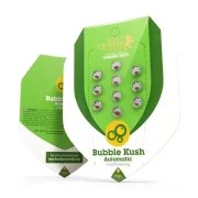 Bubble Kush Auto – product view 2