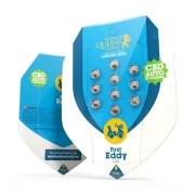 Fast Eddy Automatic CBD – product view 2
