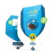Fast Eddy Automatic CBD – product view 3