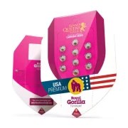 Royal Gorilla – product view 3