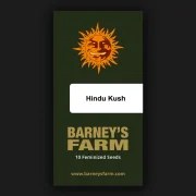 Hindu Kush Strain – product view 5
