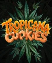 Tropicana Cookies Auto Strain – product view 1