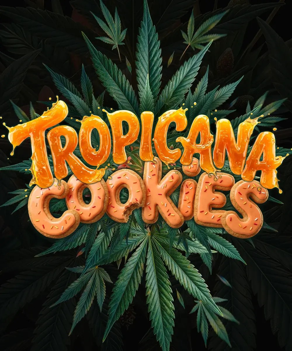 Tropicana Cookies Auto Strain – product view 1