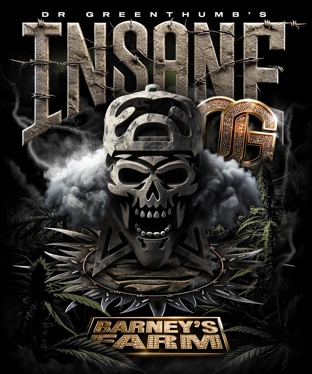 Insane OG Strain – product view 1