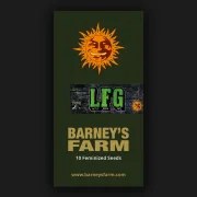 LFG Strain – product view 5
