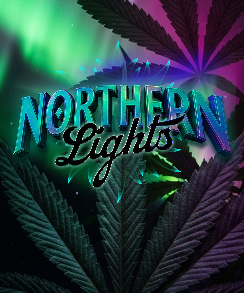 Northern Lights Strain – product view 1