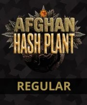 Afghan Hash Plant - Regular Strain – product view 3