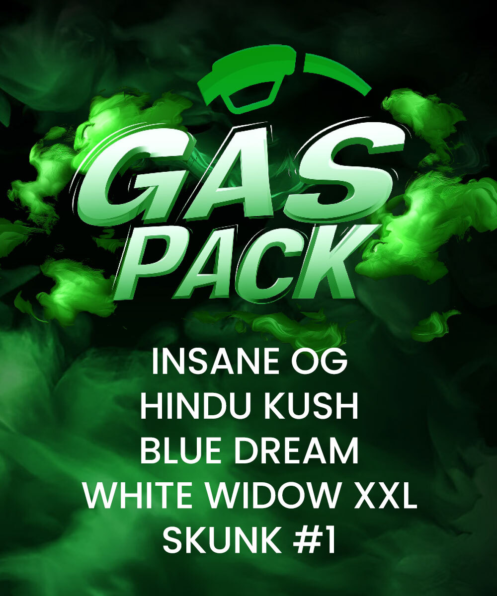 Gas Pack Strain – product view 1