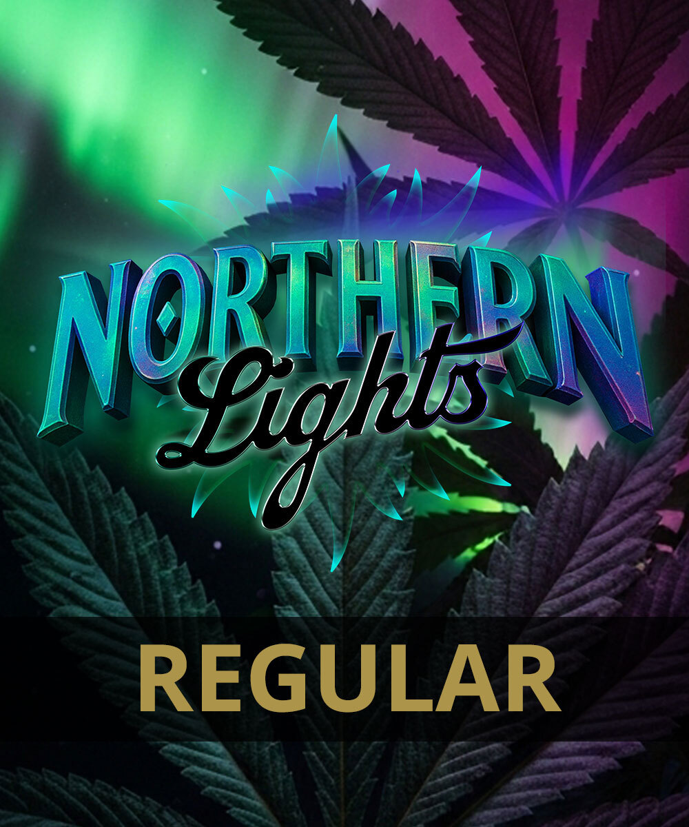 Northern Lights - Regular Strain – product view 1