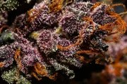 Crystal Meth Auto – product view 8