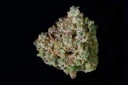 Gelato Auto – product view 10