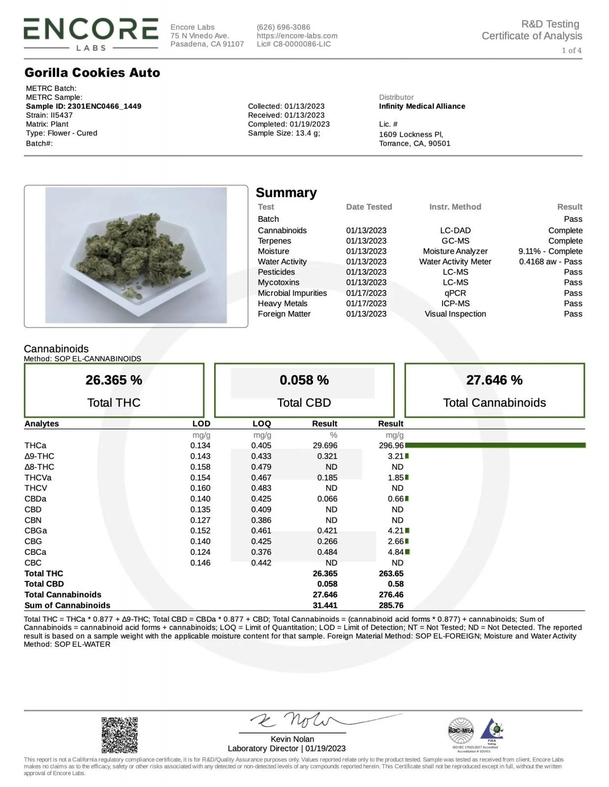 Gorilla Cookies Auto – FastBuds – Autoflowering