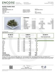 Gorilla Cookies Auto – FastBuds – Autoflowering