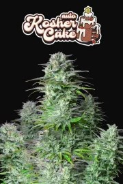 Kosher Cake Auto – product view 11