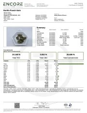 Gorilla Punch Auto – product view 10