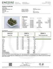 Strawberry Gorilla Auto – product view 6