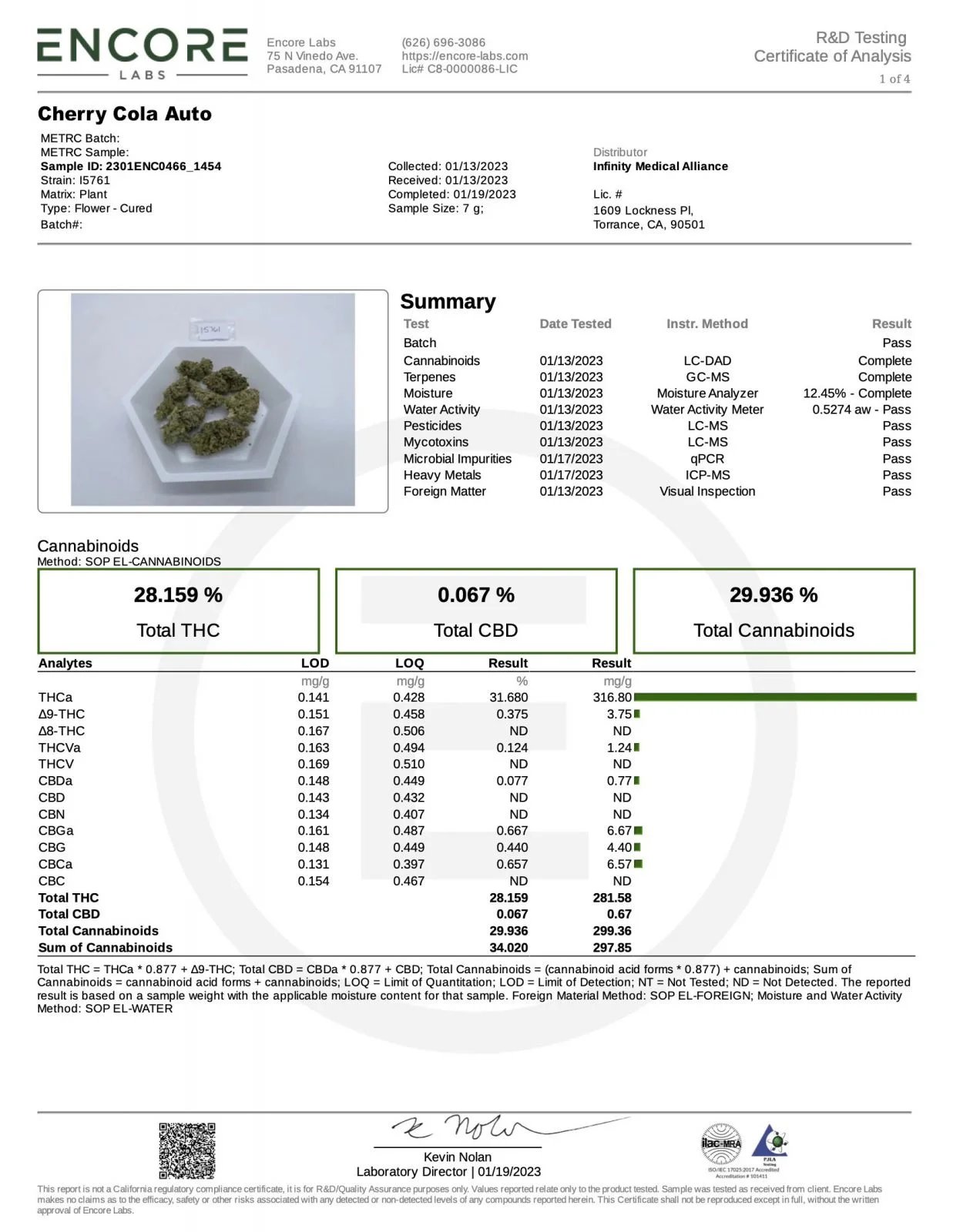 Cherry Cola Auto – FastBuds – Autoflowering