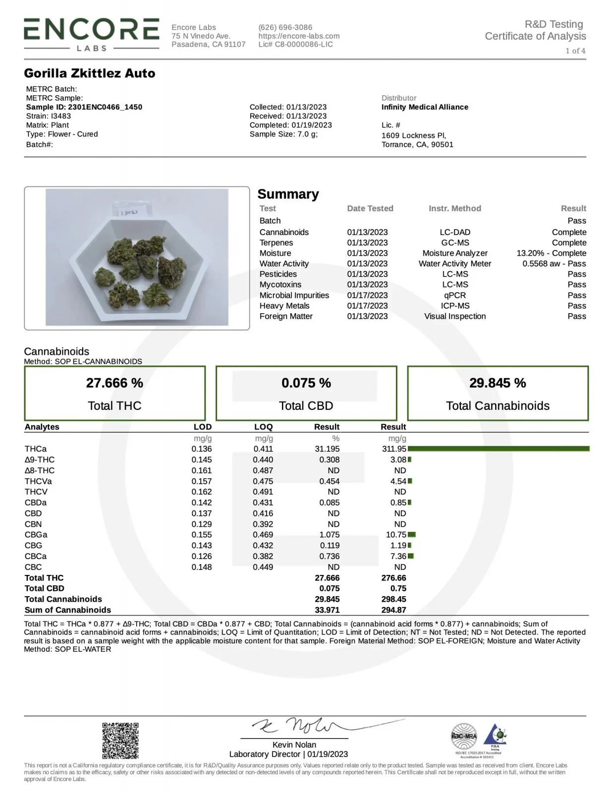 Gorilla Z Auto – FastBuds – Autoflowering