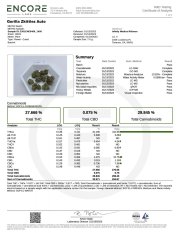Gorilla Z Auto – FastBuds – Autoflowering