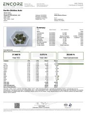 Gorilla Z Auto – product view 10