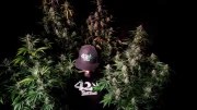 Mix Pack Auto – product view 2