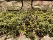 Mix Pack Auto – product view 5