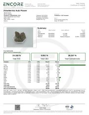 Ztrawberriez Auto – product view 11